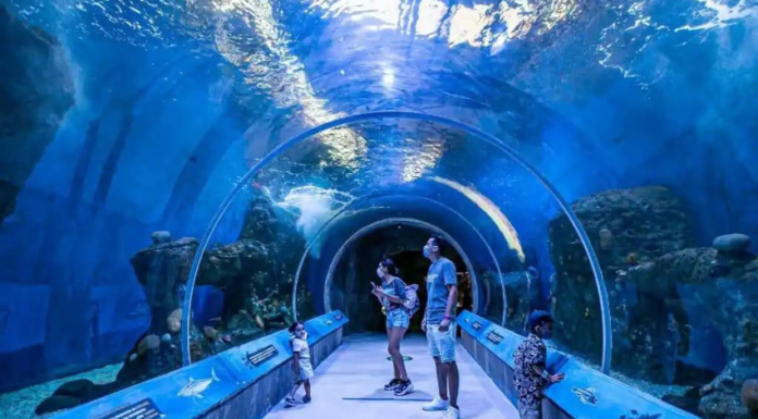 acuario michin en cdmx miercoles 28 de junio del 24