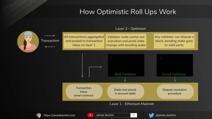 optimism bridged vs optimism