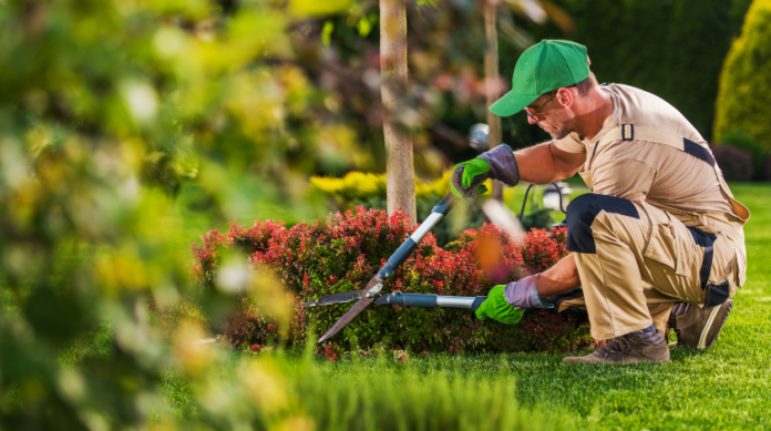 Mencer's Tree Service