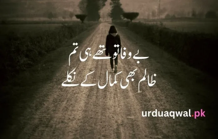 urdu poetry text copy